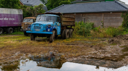 20240622-Lewiszong-Oldtimer-00043 20240622-Lewiszong-Oldtimer-00043